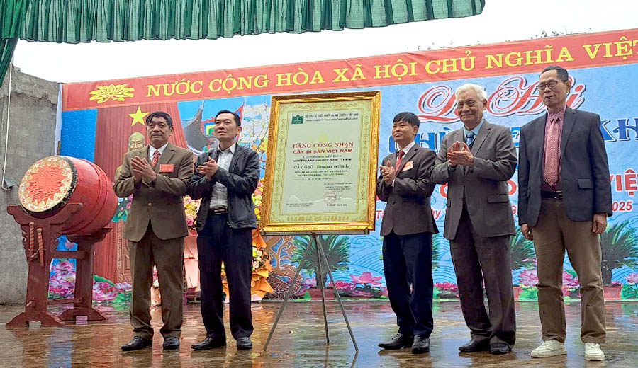 Cây[-]Gạo[-]huyền[-]thoại[-]thôn[-]Tân[-]Mỹ[-]được[-]vinh[-]danh[-]là[-]Cây[-]Di[-]sản[-]Việt[-]Nam